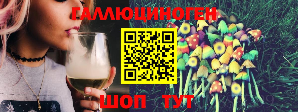 Псилоцибиновые грибы Psilocybe Сланцы